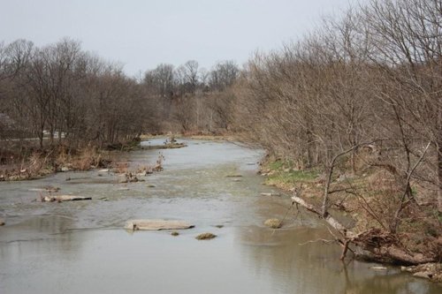 Property photo 23 - ABSOLUTE AUCTION - 298 Acres Offered in 4 Tracts
